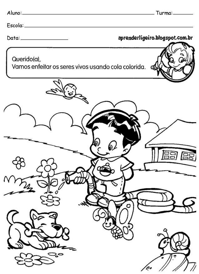 Aprender Ligeiro: Atividades de Ciências para o 1° ano fundamental