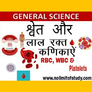 What is the RBC and WBC in Blood in Hindi