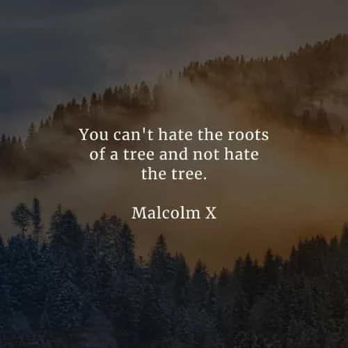 Racism quotes that'll help you realize the right thing