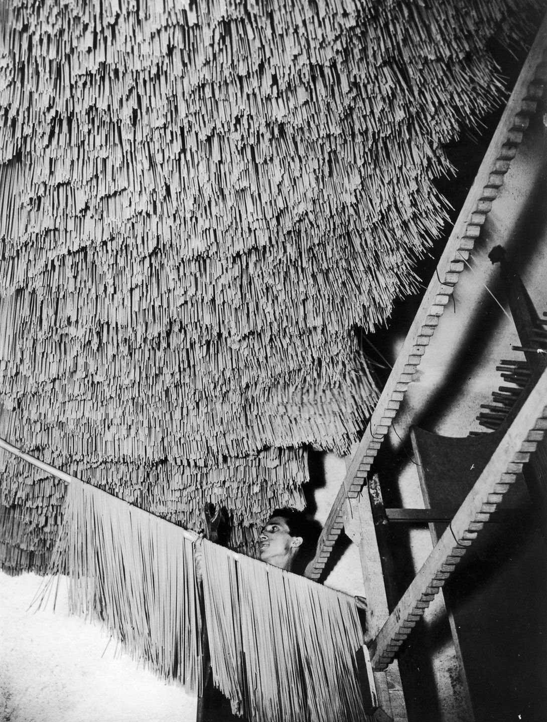 Inside Pasta Factories Amazing Photographs Show How Pasta Production