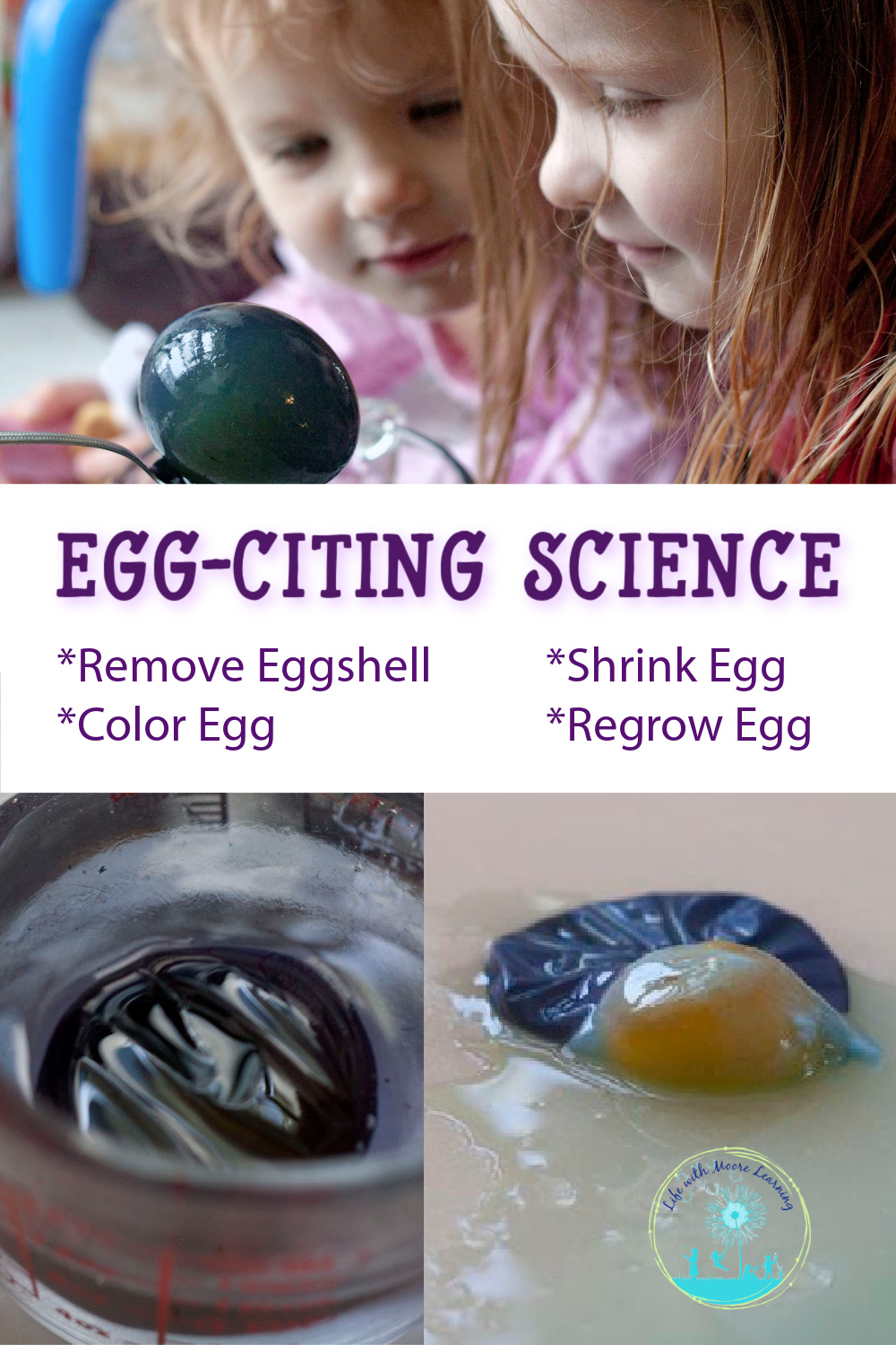 Awesome Science Remove an Eggshell, Shrink and Regrow the Egg Life