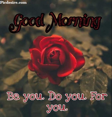 50 Beautiful Good Morning Quotes and Saying 50 Beautiful Good Morning Quotes and Saying