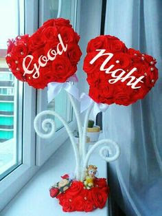 good night good night
