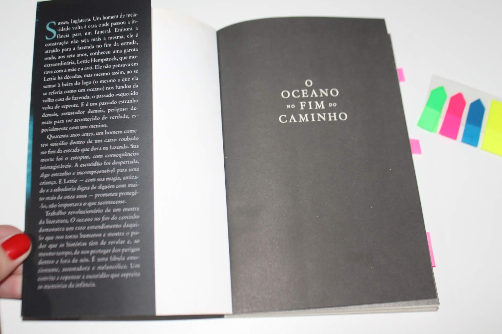 Resenha O Oceano no Fim do