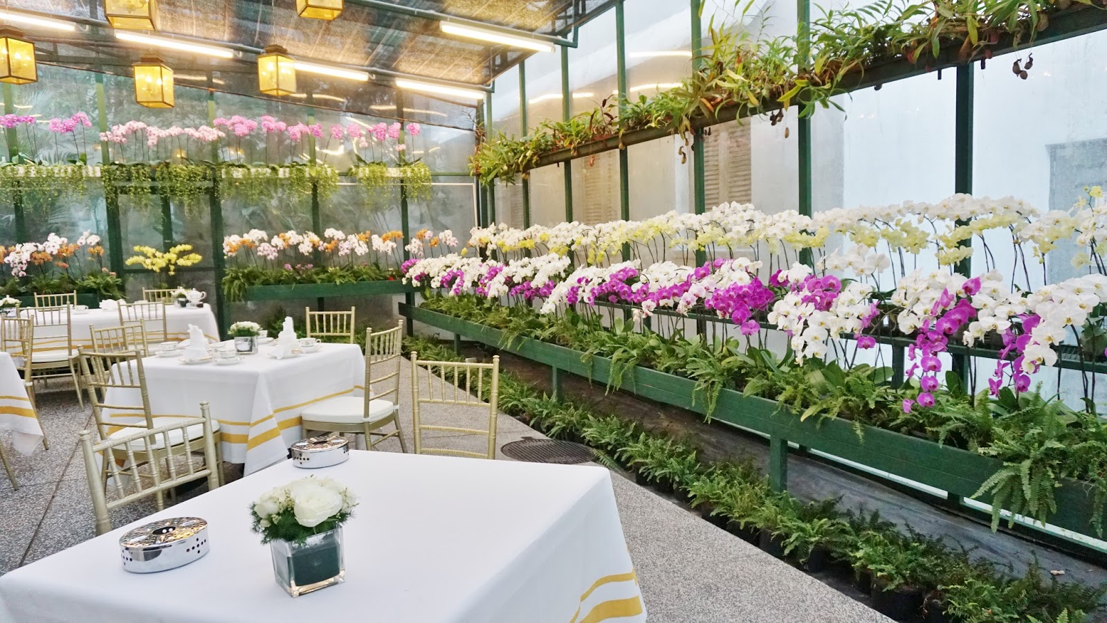 LOVE LIFE, CHERISH MOMENTS Exclusive English Afternoon Tea The