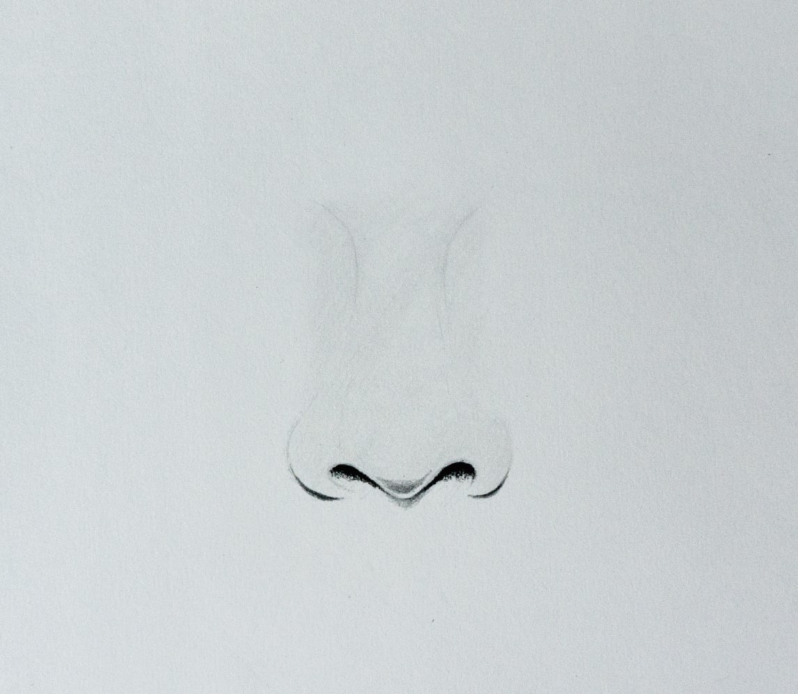 Featured image of post Nose Drawing Reference Simple Remember that this is a simple preview of the actual artworks featured on our pinterest board
