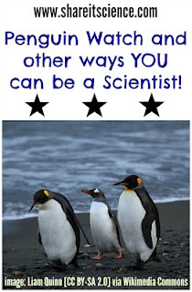 https://www.shareitscience.com/2014/10/penguinwatch-and-other-ways-you-can-be.html