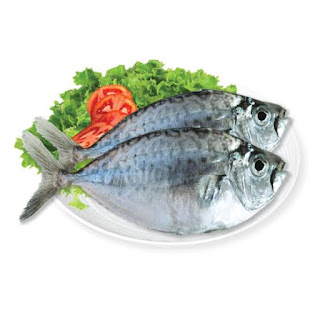 Pony Fish Pony Fish