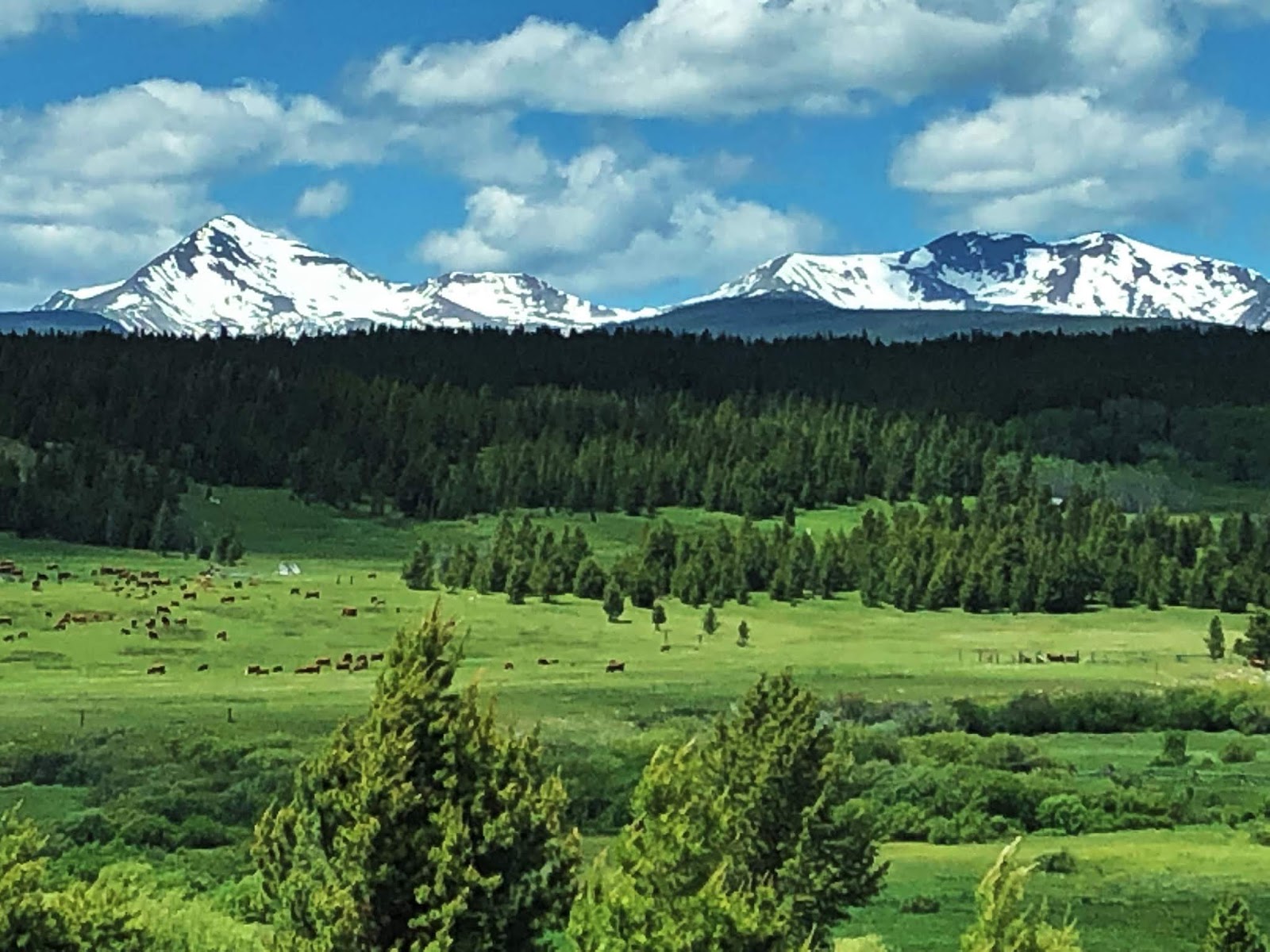 Down the Road Little Town, Big Fish Dillon, MT