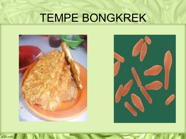Petaka Tempe Bongkrek Persagi Bandung