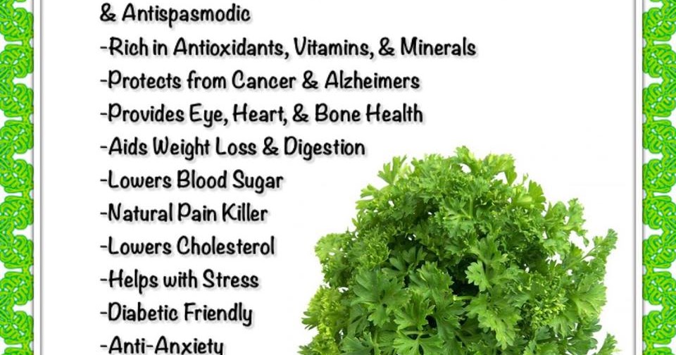 TELUGU WEB WORLD BENEFITS OF CILANTRO