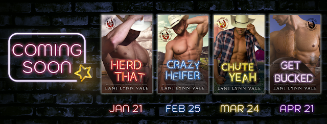 SERIES REVEAL~ THE VALENTINES BOYS by Lani Lynn Vale
