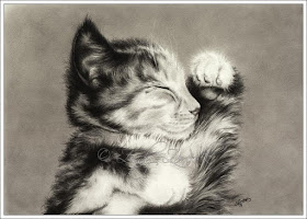 03-Kitten-Maine-Coon-Zindy-Nielsen-Fantasy-Animals-Meet-Realistic-Ones-www-designstack-co