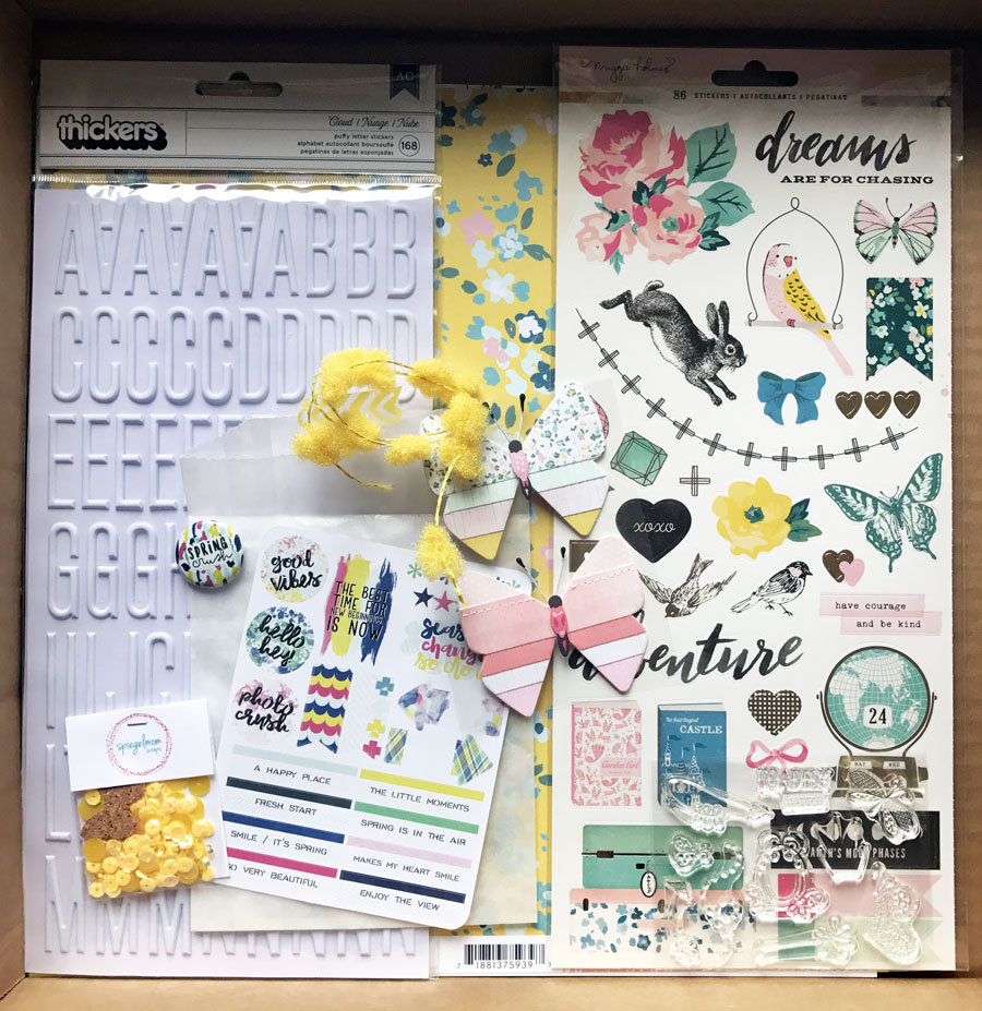 Luxueux Set Calligraphie Chinoise Nature Decouvertes