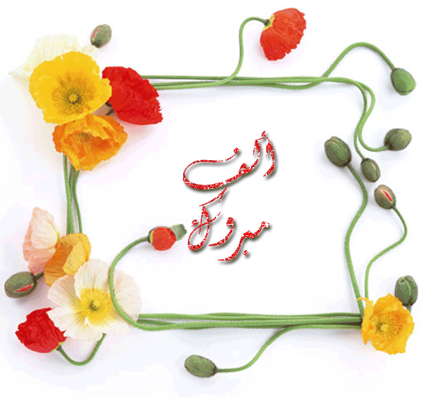 صور مبروك 2013 اجدد صور كلمة مبروك صور خلفيات مبروك متحركة