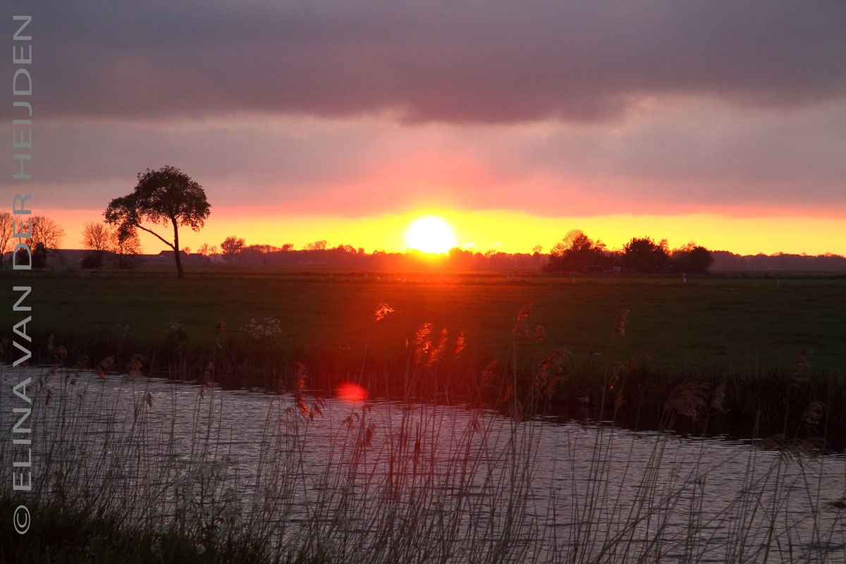 ROZEN OP MIJN PAD Zonsondergang boven het platteland ROZEN OP MIJN PAD Zonsondergang boven het platteland