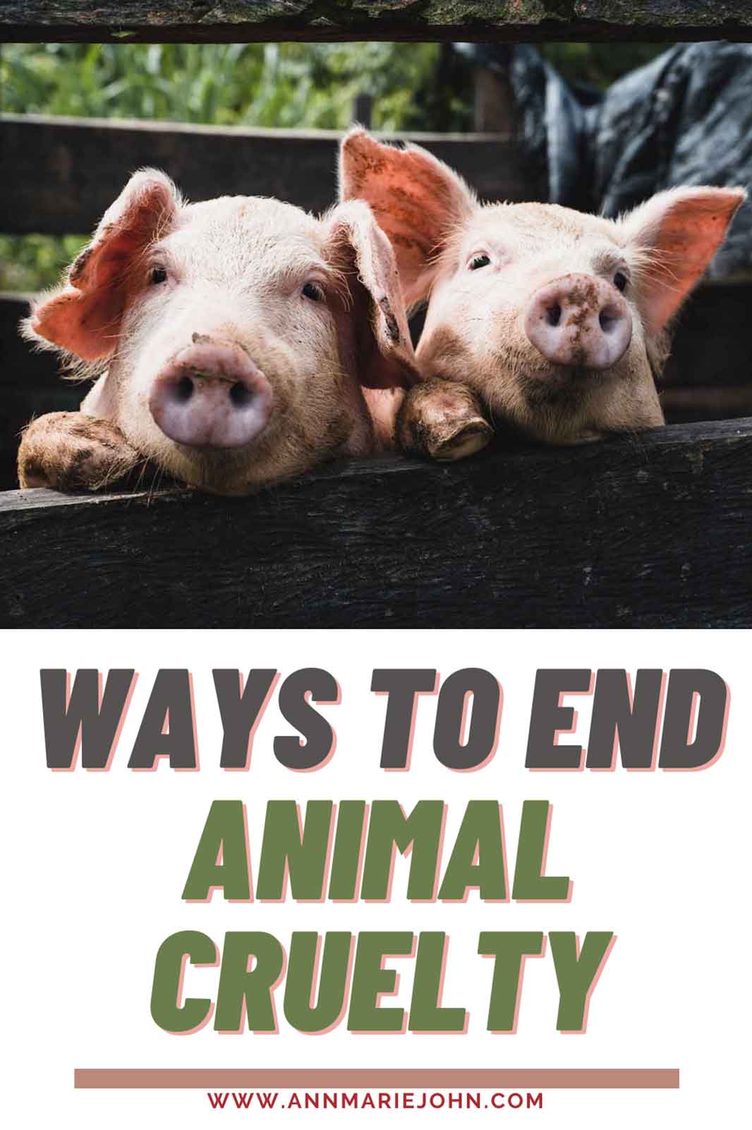 How You Can Help End Animal Cruelty Through These Simple Tips