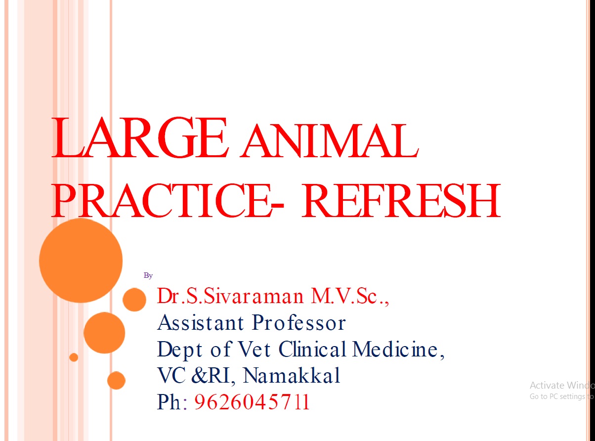 Large Animal Practice Refresh Large Animal Practice Refresh