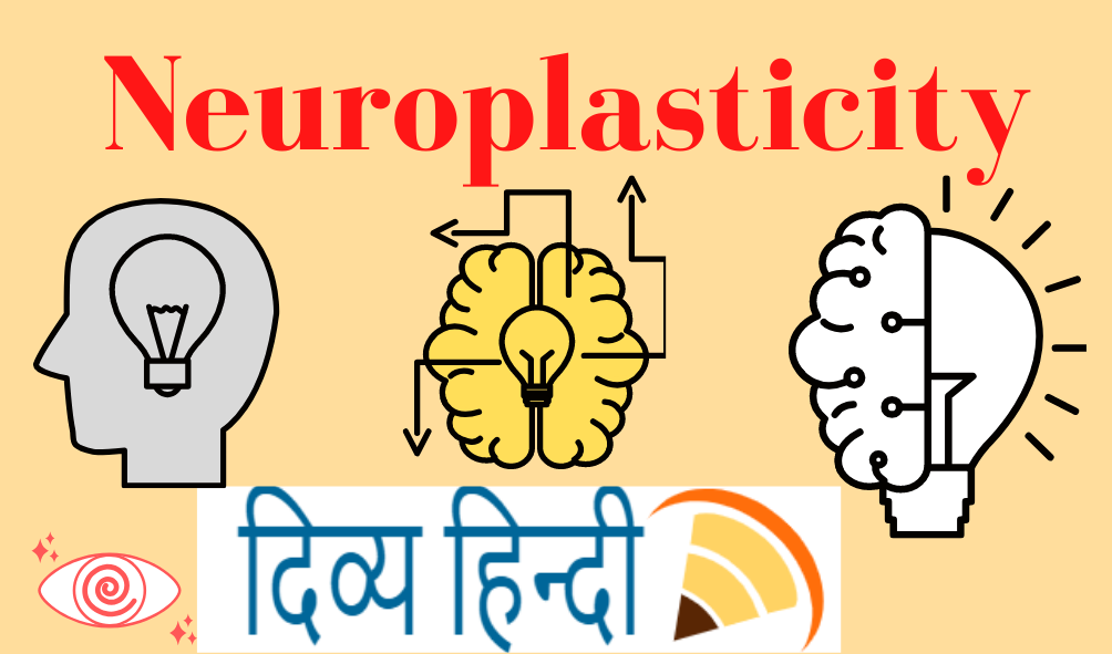 Neuroplasticity in hindi