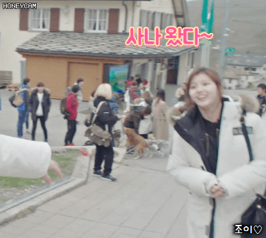 스위스에서도 멈추지 않는 트와이스의 애교장인 김사나씨.gif | 인스티즈