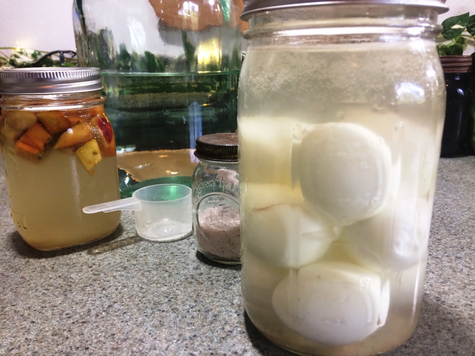 Lacto Fermented Eggs