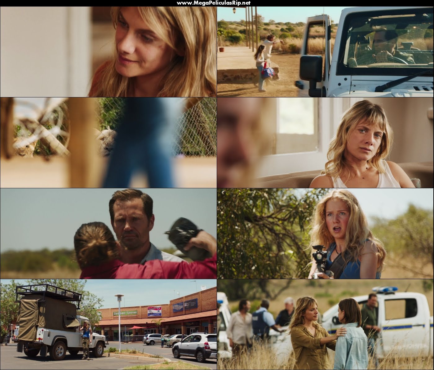 Mi Mascota Es Un Leon 1080p Latino