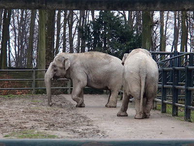 ogród zoologiczny Kraków