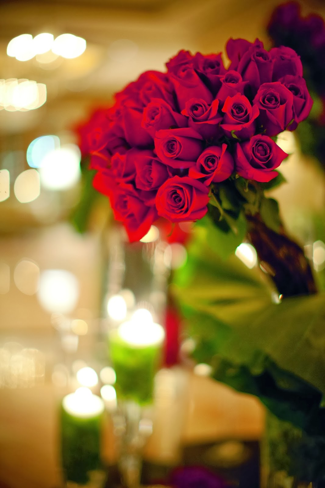 White Flowers Hd Wallpapersd