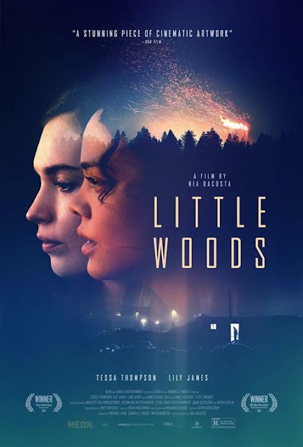 http://fuckingcinephiles.blogspot.com/2020/04/critique-little-woods.html