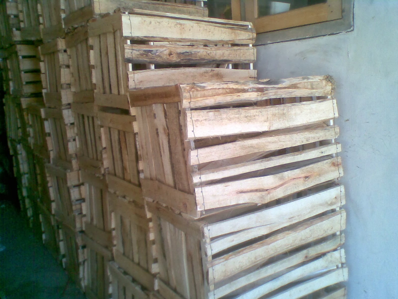 Jual Kotak  sayur bahan baku dari kayu  albasiah sengon 