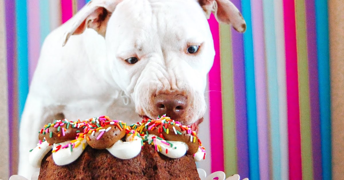Peanut Butter Dog Birthday Cake Recipe Treat Dreams...are made of this