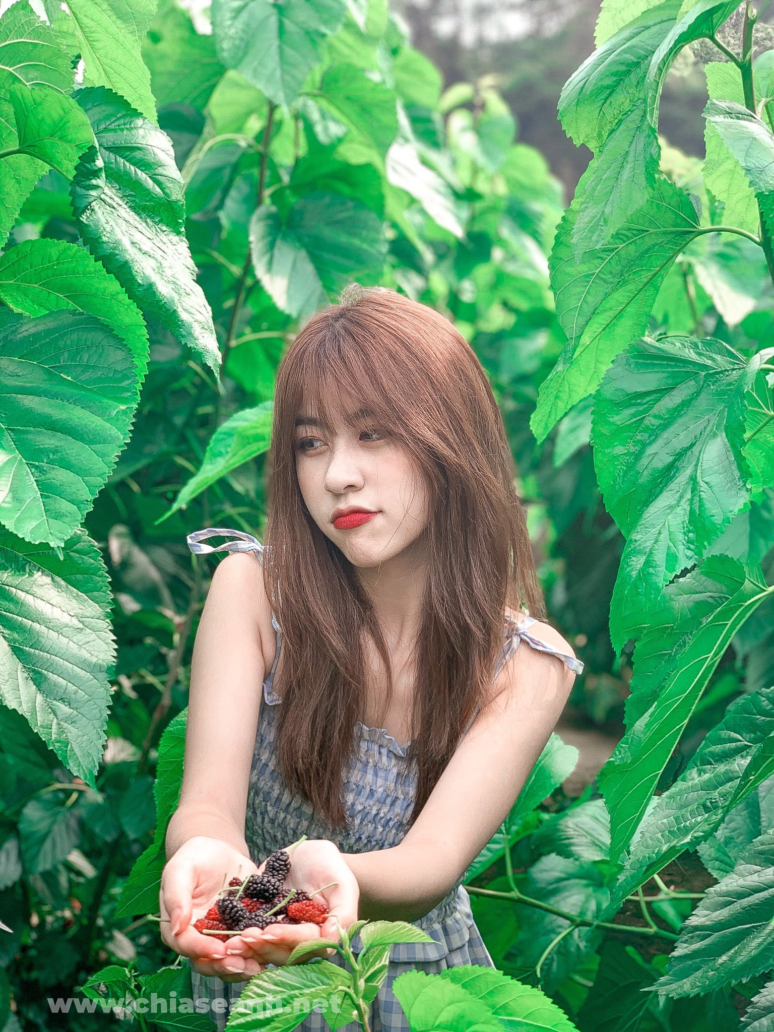 Nhan sắc 'mười phân vẹn mười' của nữ streamer Mai Ngọc