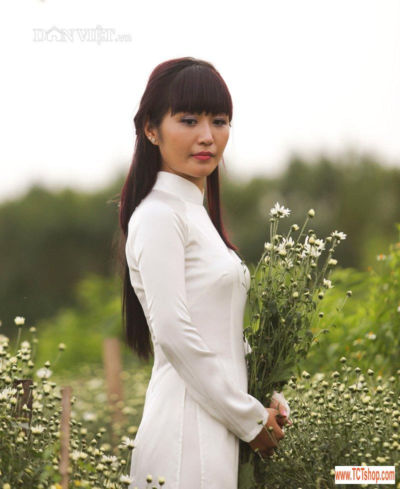 Trắng tinh khôi cúc họa mi trong chớm đông Hà Nội Trắng tinh khôi cúc họa mi trong chớm đông Hà Nội