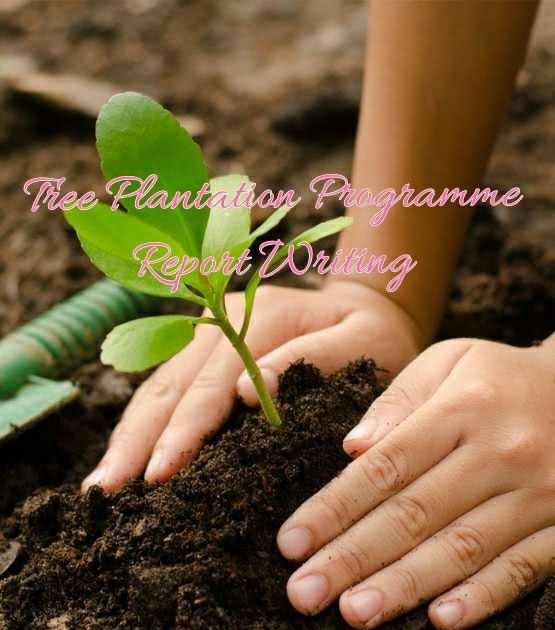 Few lines on tree plantation picture