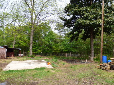 5 Acres A Dream Goat Barn The Plan