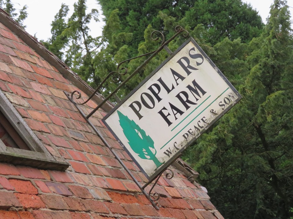 Martin Brookes Oakham Poplars Farm Shop Nuneaton Halloween Pumpkins