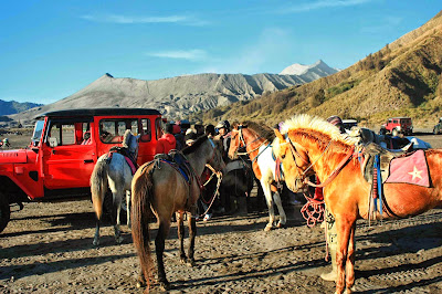 Sewa kuda di Gunung bromo kisaran 150an ribu