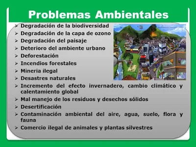 principales problemas ambientales