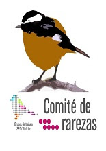 Informes mensuales del Comité de Rarezas    CR-SEO