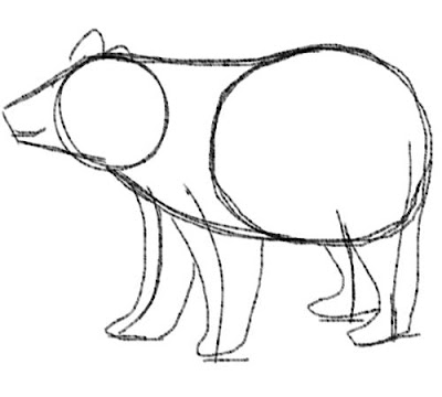 bear-drawing