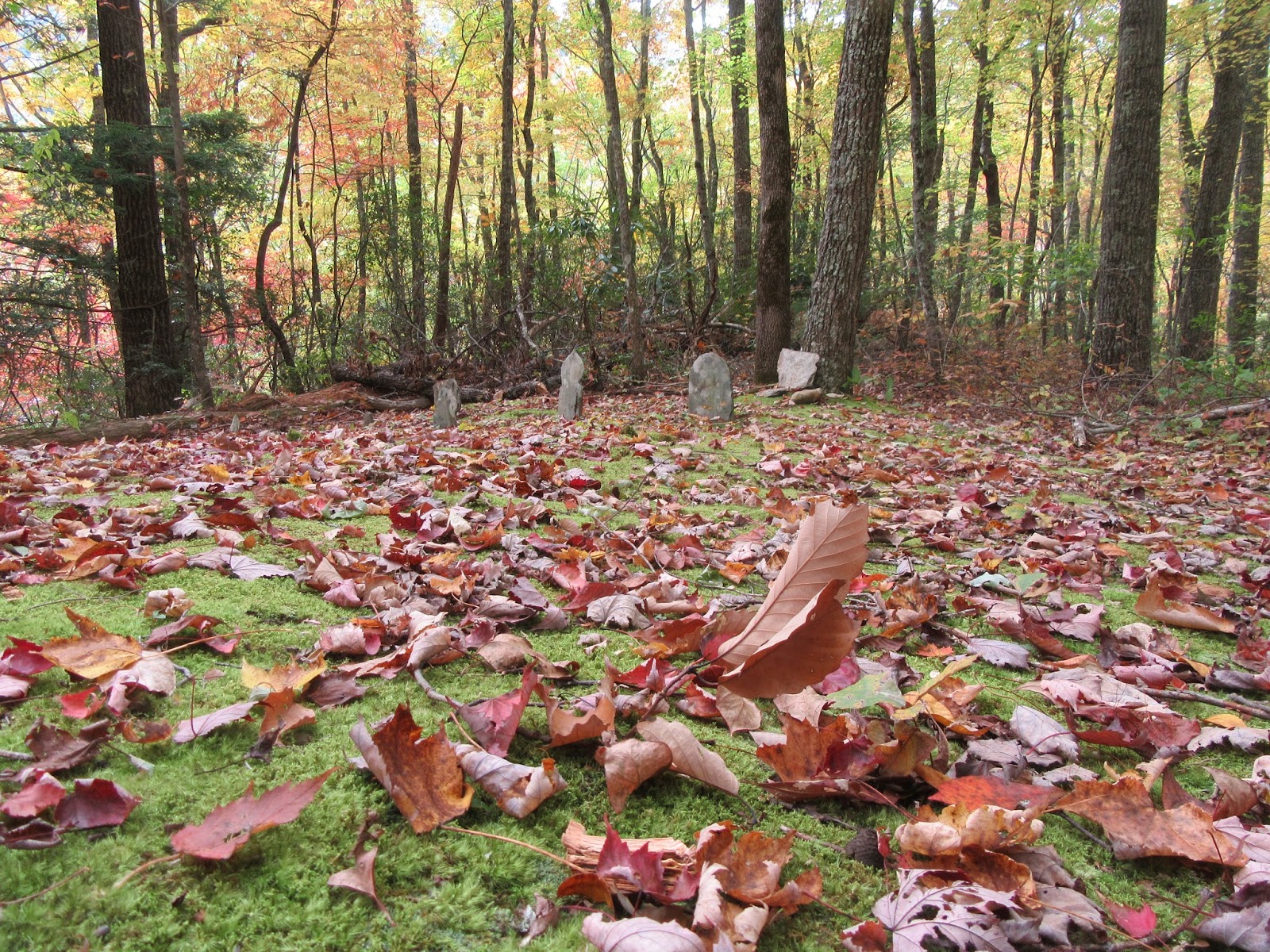 Smoky Mountain Cemetery Creeping Moore Cemetery
