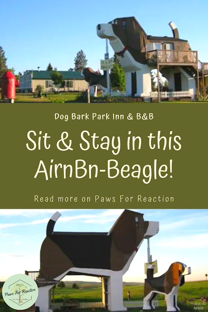 Dog Bark Park Inn: Sit & Stay in this pet-friendly AirnBn-Beagle