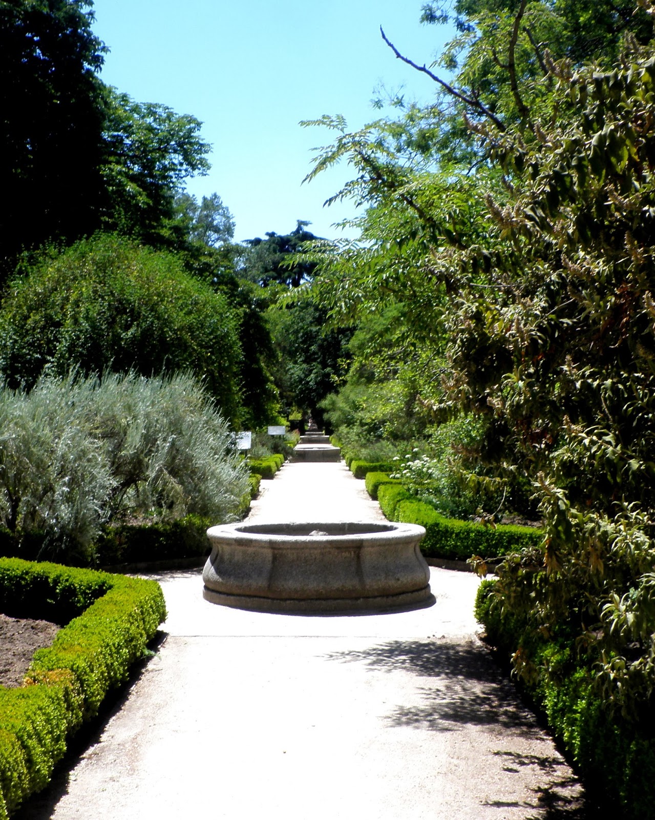 Camino terraza de las Escuelas en el Botánico de Madrid