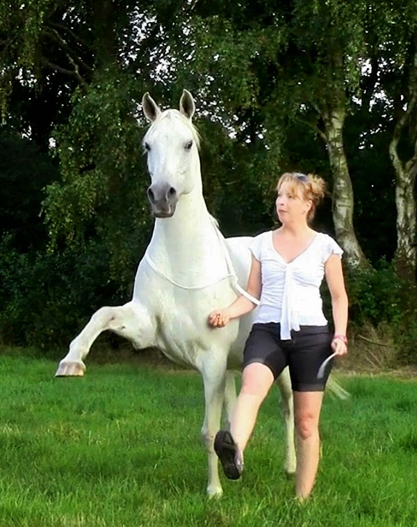 Maulfrei Zirkuslektionen