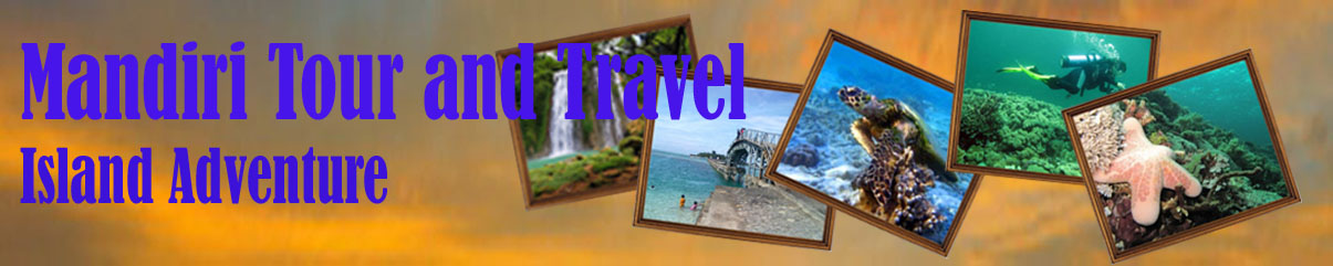 Mandiri Tour and Travel