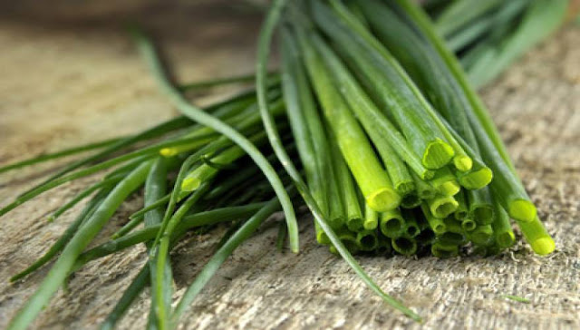 Το ταπεινό υπερβότανο που προστατεύει από τον καρκίνο  