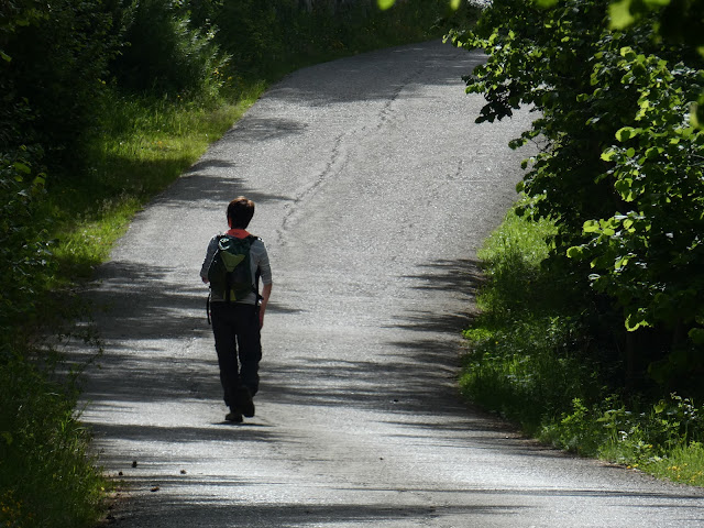 La piste est agréable et permet de monter en s'échauffant doucement, idéal pour la troisième balade de l'année !