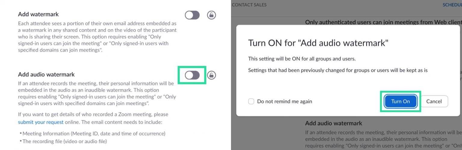 Cara Menambahkan Watermark Gambar dan Audio dalam Rapat Zoom TAMBOENMAN