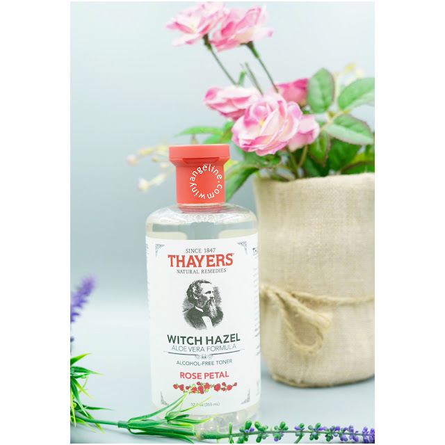 THAYERS WITCH HAZEL ROSE PETAL (REVIEW)
