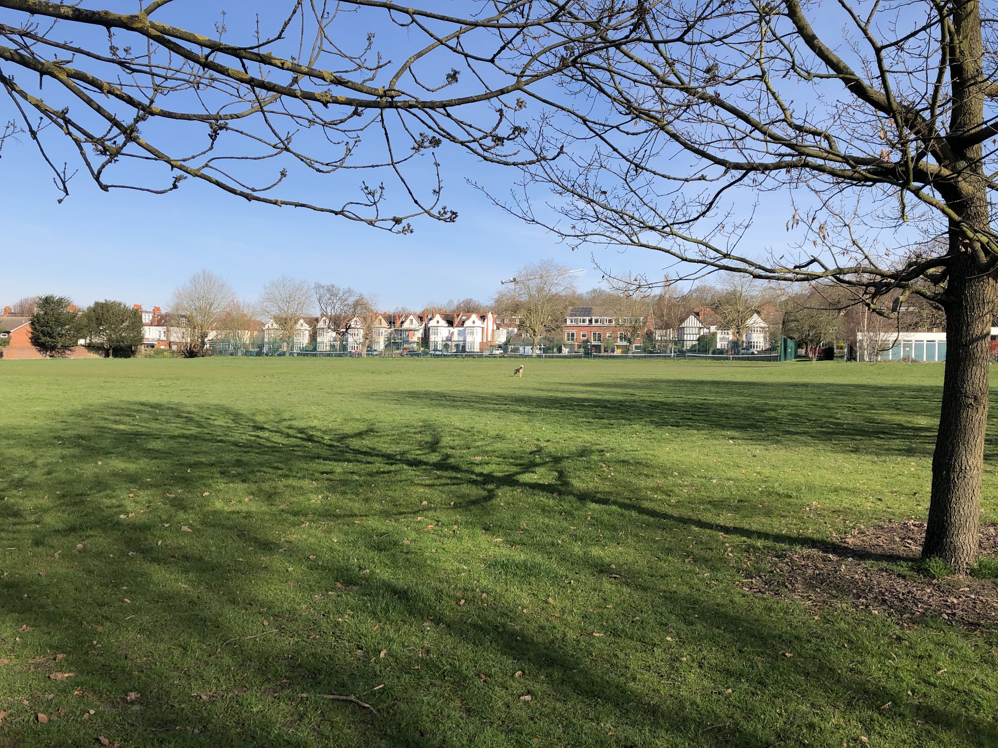 Friends of Cottenham Park 2021